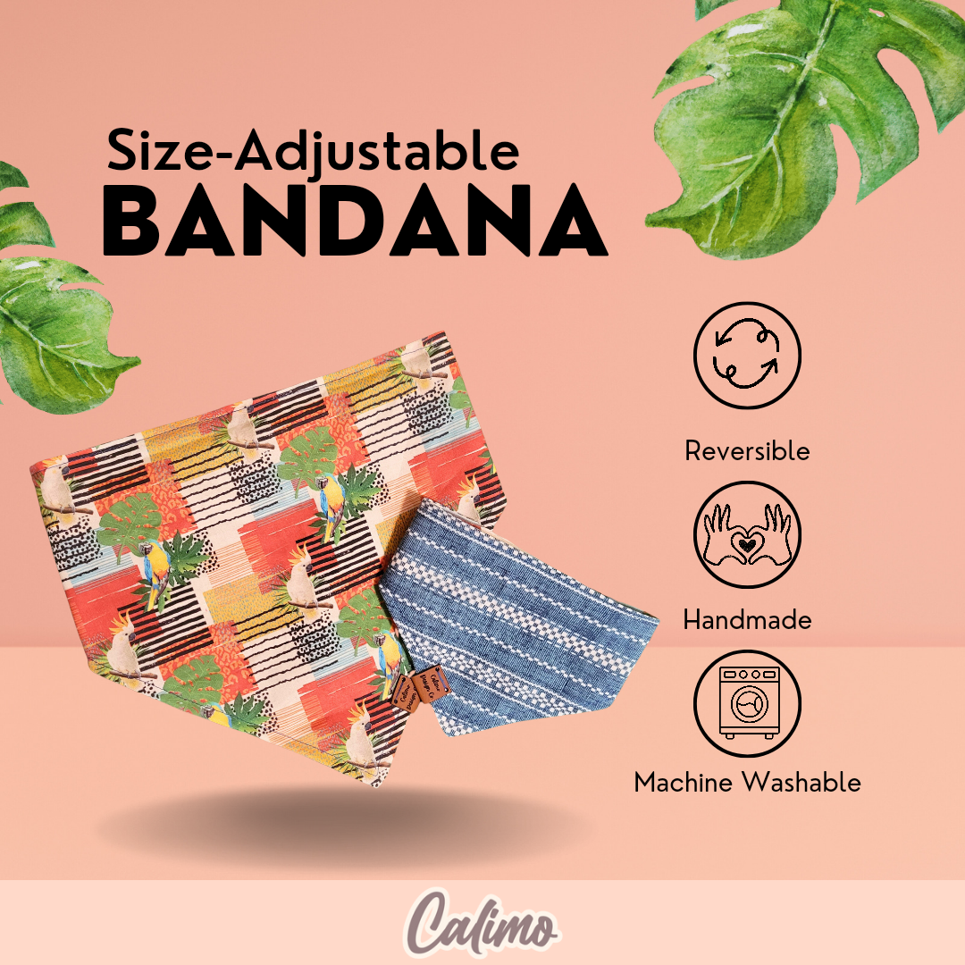 Birds of Paradise Snap-on Pet Bandana