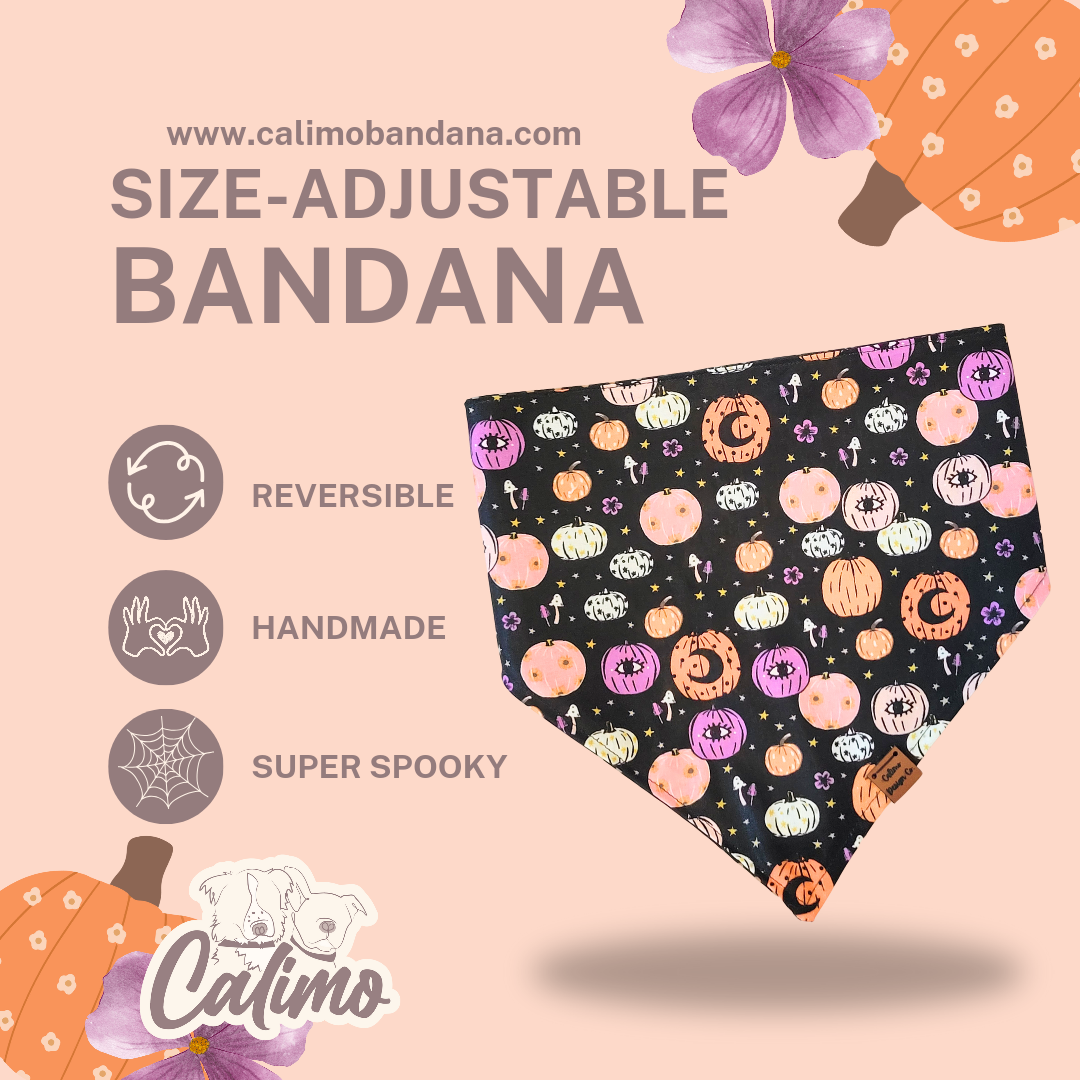 Witchy Pumpkins Snap-On Pet Bandana