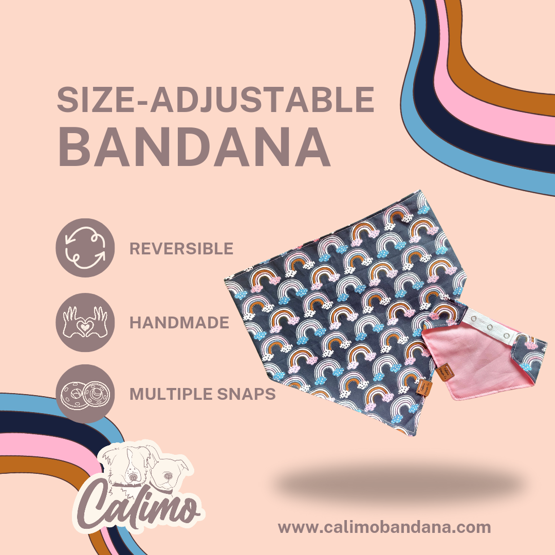 Boho Rainbows on Navy Snap On Pet Bandana