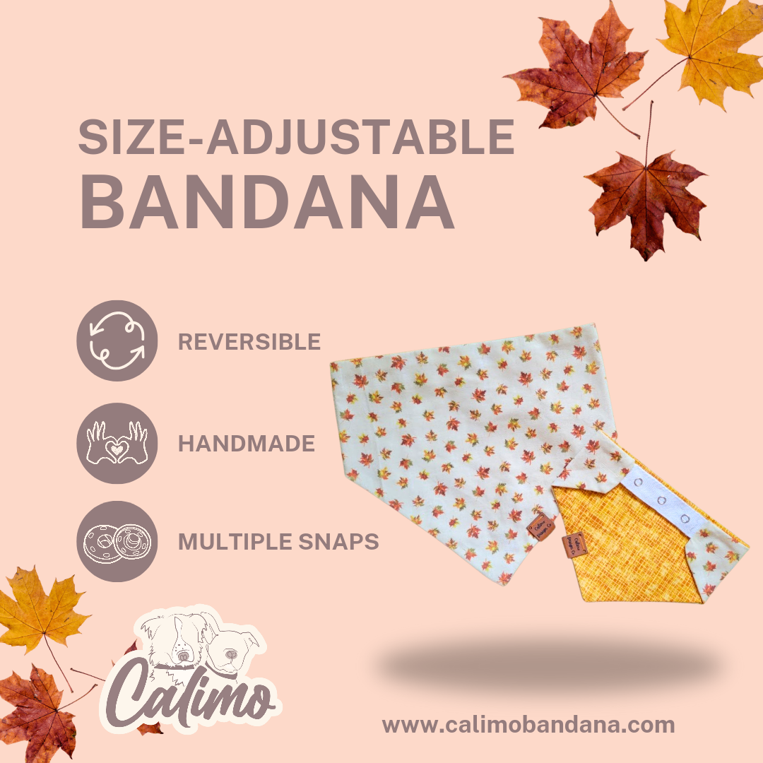 Falling Leaves Snap On Pet Bandana