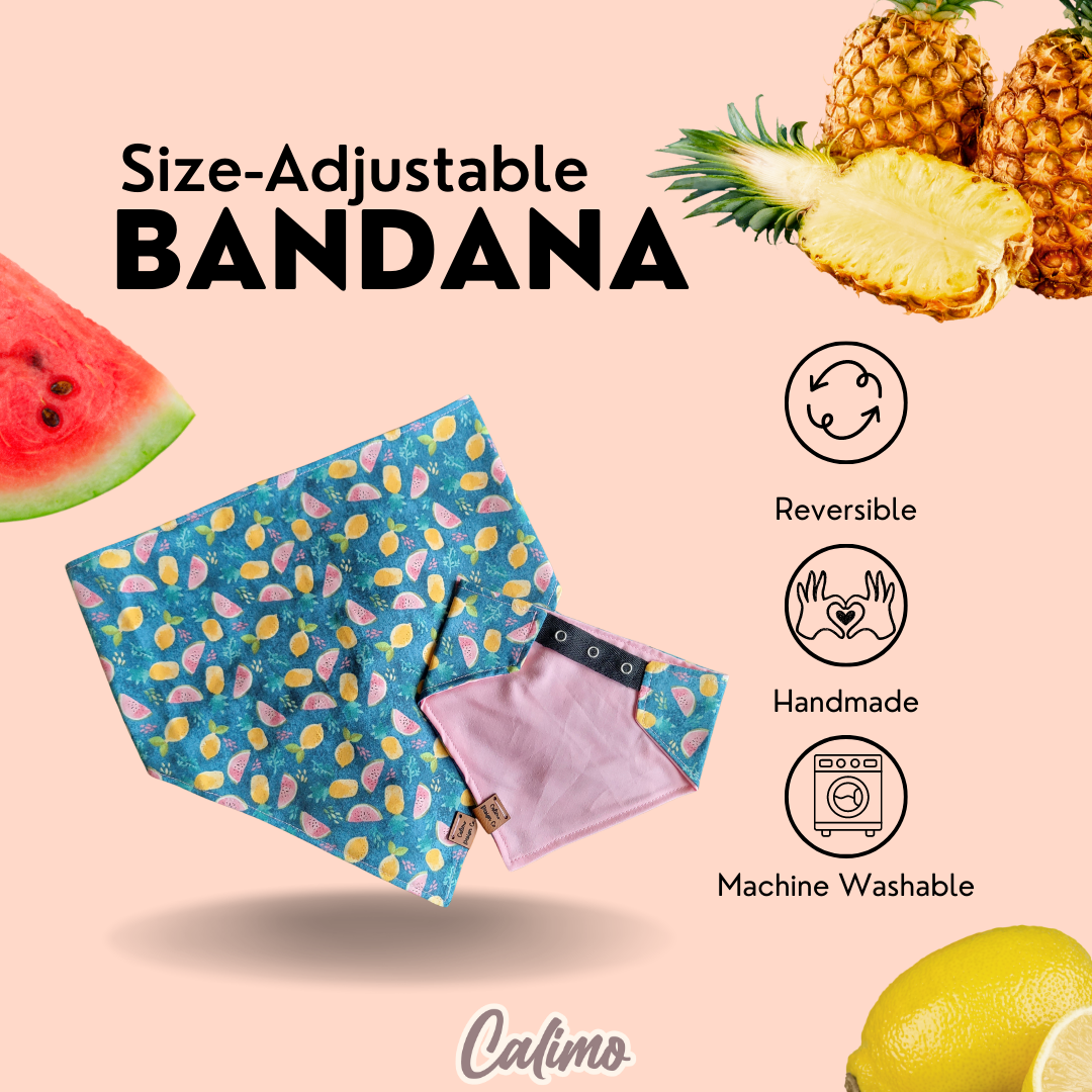 Tropical Fruit Snap On Pet Bandana