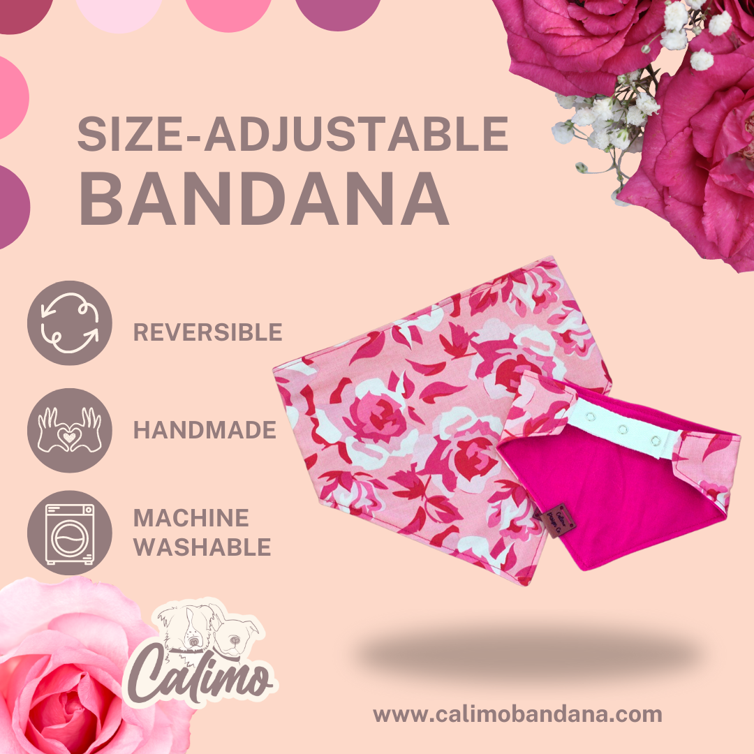 A Dozen Roses Snap-On Pet Bandana