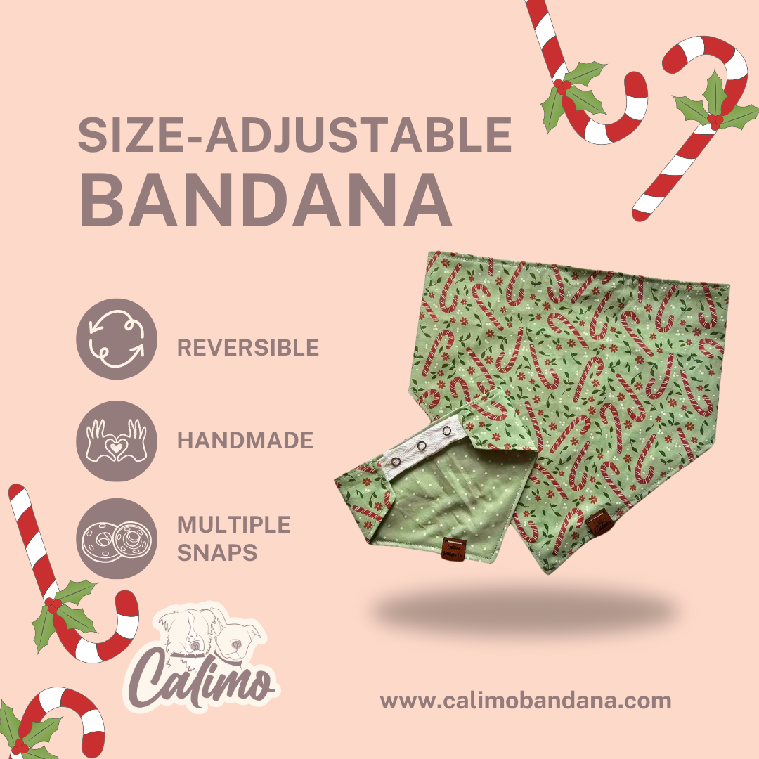 Holiday Mo-Mints Snap-On Pet Bandana