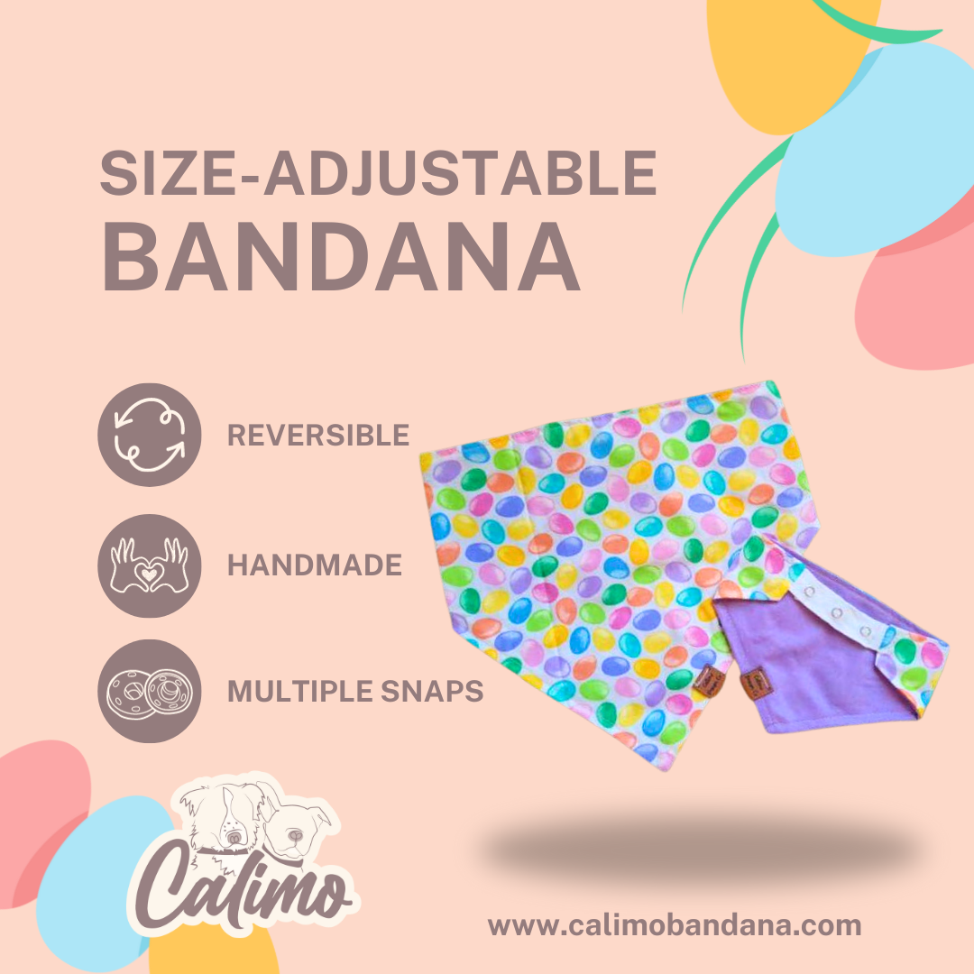 Easter Eggs Snap On Pet Bandana