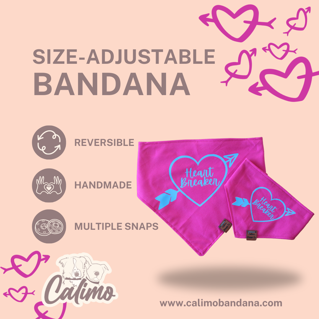 Pink Heart Breaker Snap On Pet Bandana