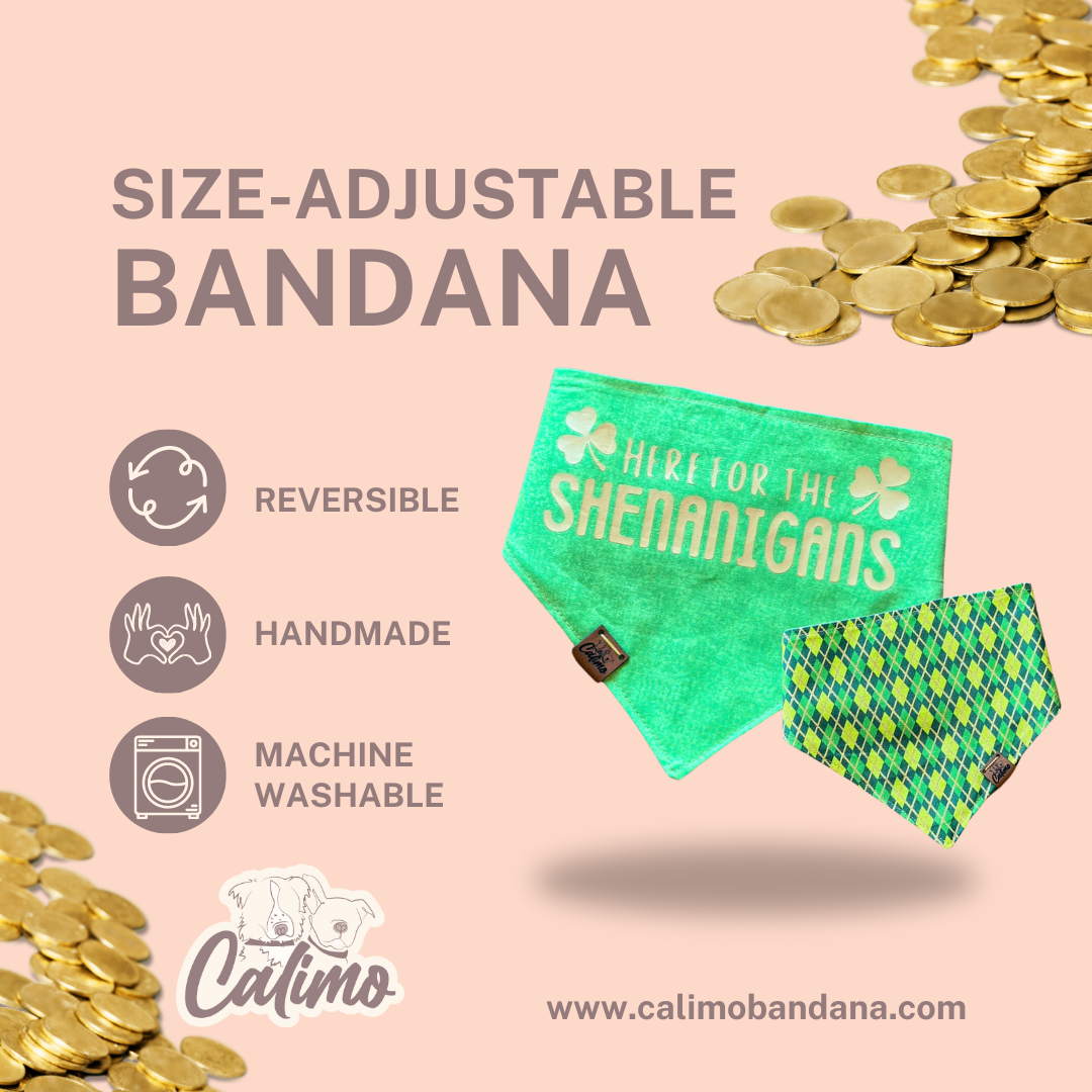 Here for the Shenanigans Snap-On Pet Bandana