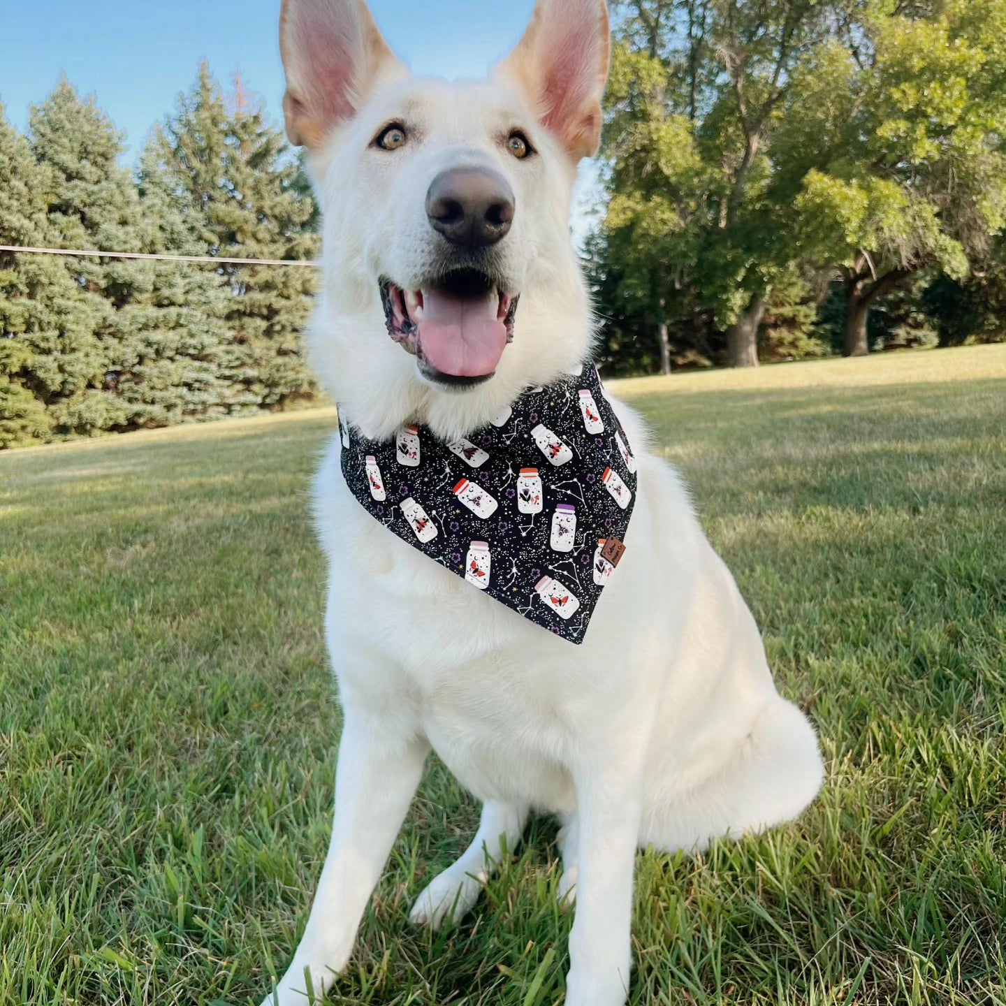 Light Up the Sky Snap-On Pet Bandana