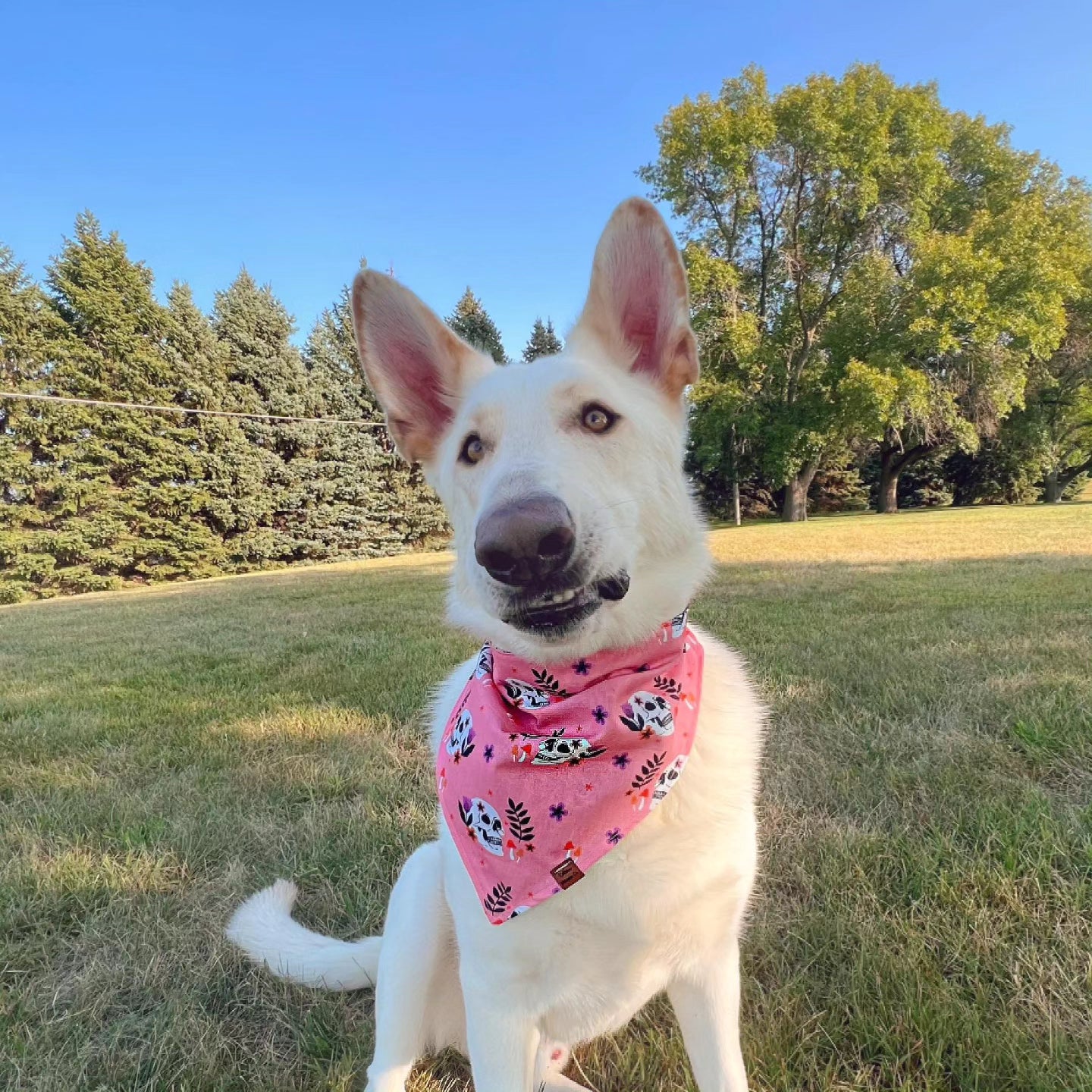 Play Dead Snap-On Pet Bandana