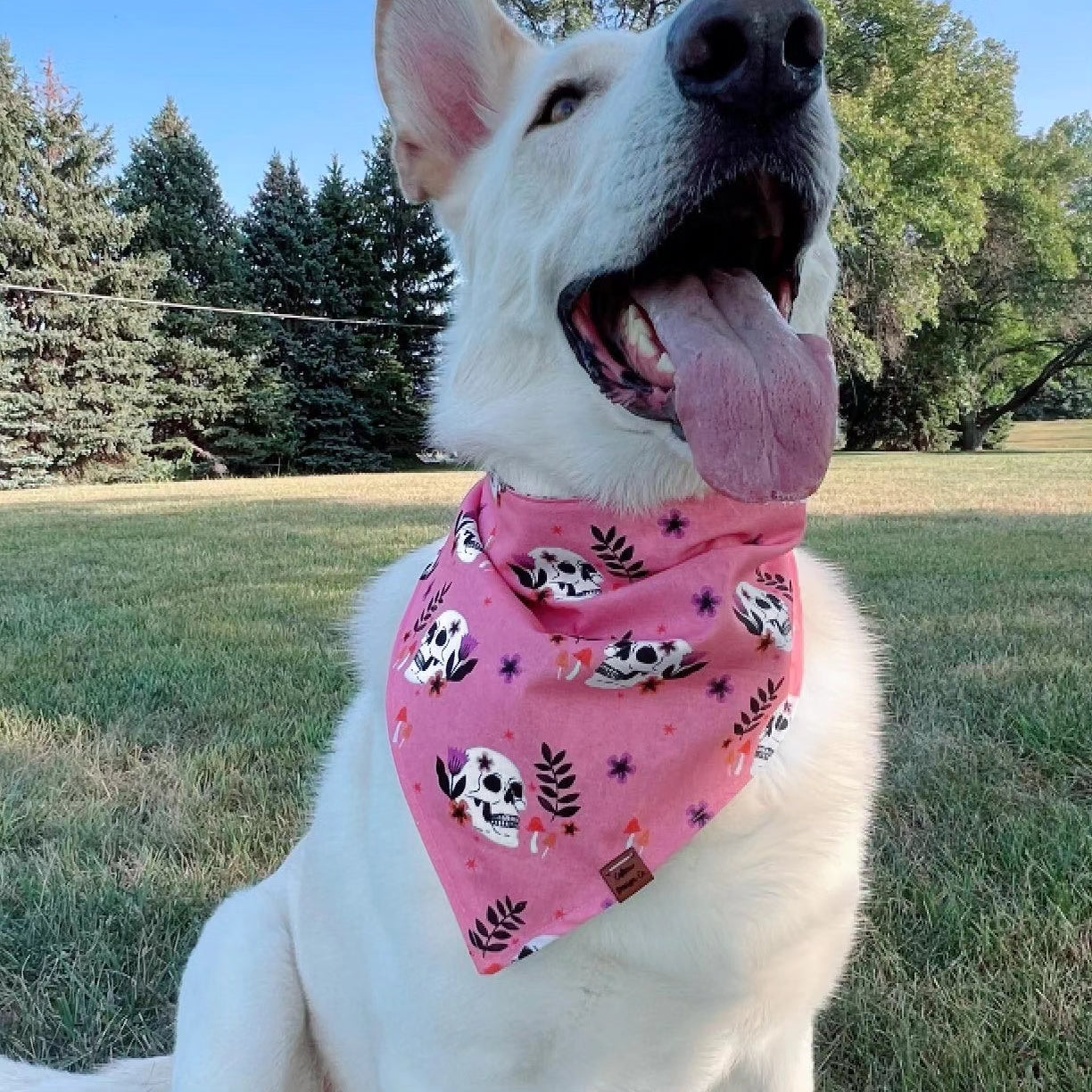 Play Dead Snap-On Pet Bandana