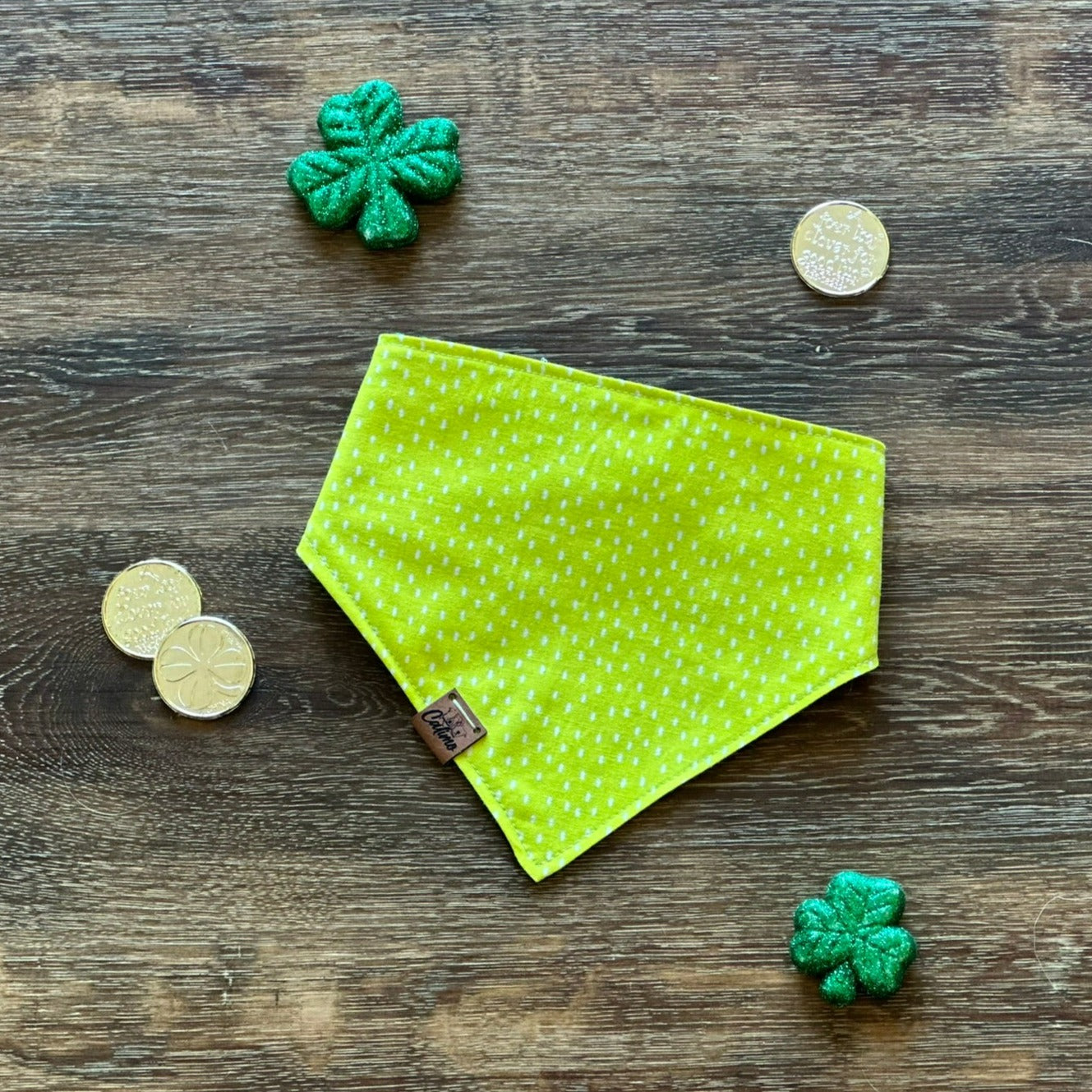 Rescued and Lucky Snap On Pet Bandana