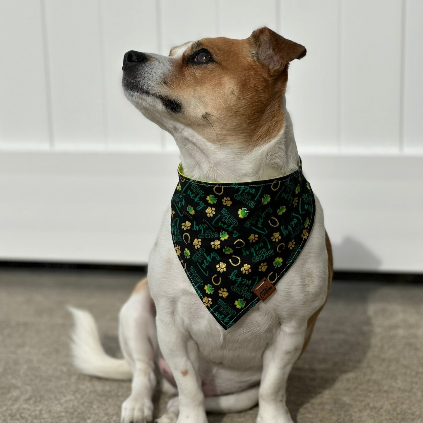 Rescued and Lucky Snap On Pet Bandana