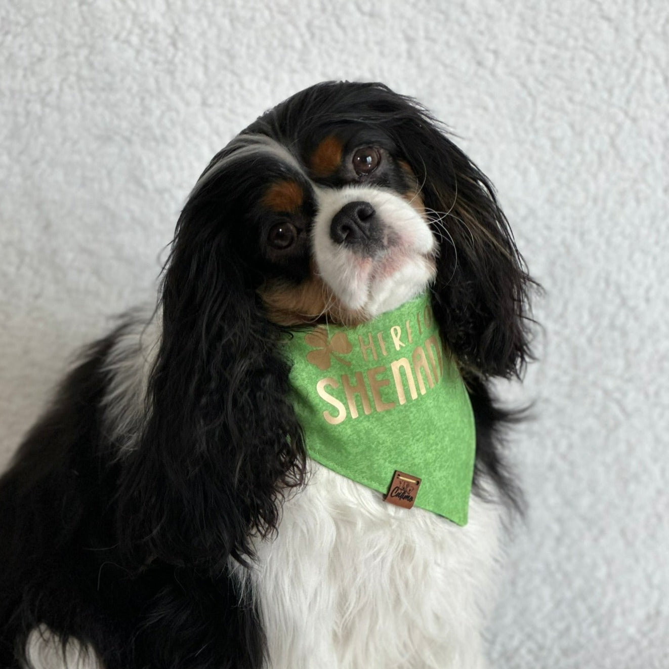 Here for the Shenanigans Snap-On Pet Bandana