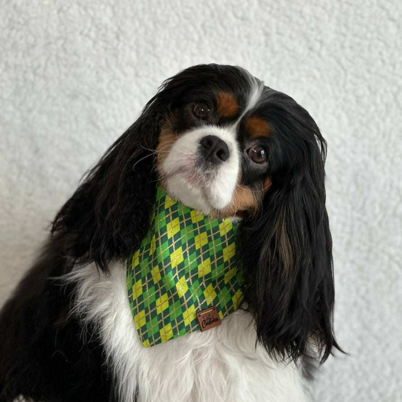 Here for the Shenanigans Snap-On Pet Bandana