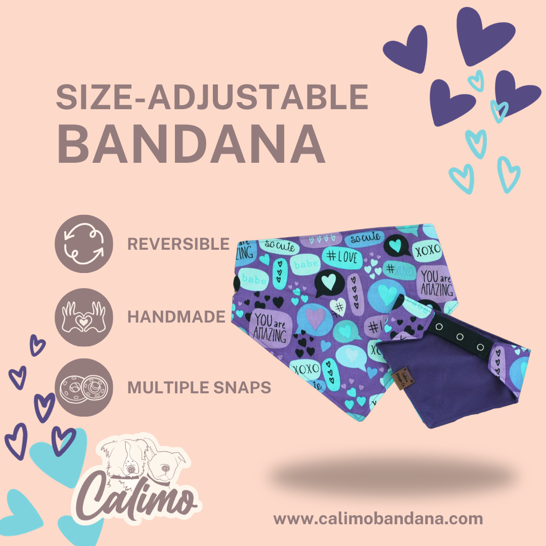 Love Notes Snap On Pet Bandana
