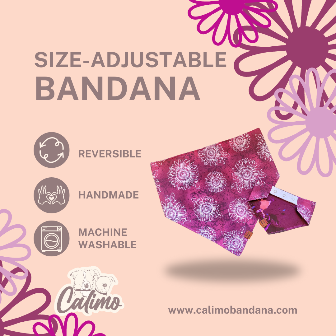 Mauve Sunflowers Snap On Pet Bandana