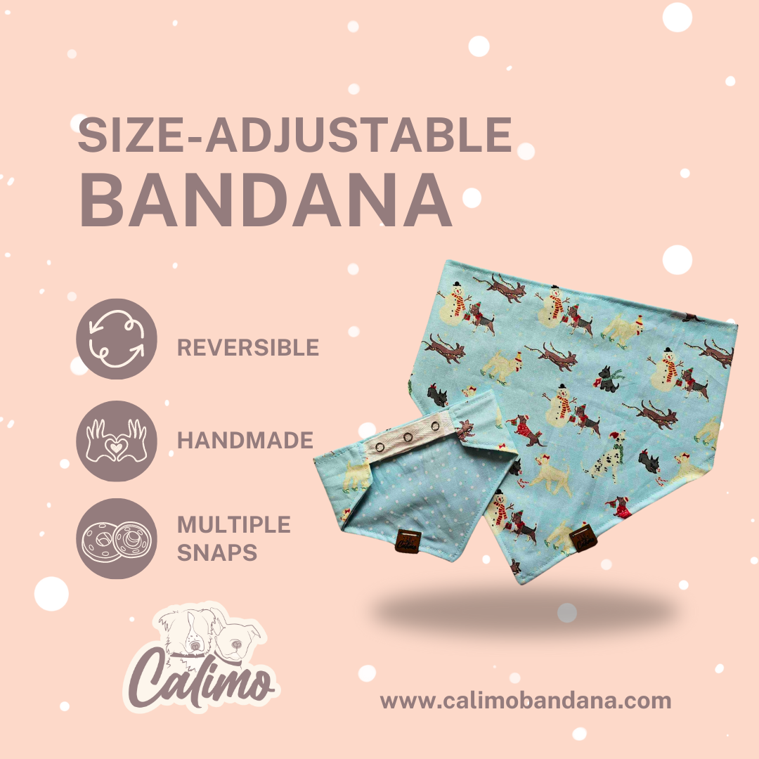 Dachshund Through the Snow Snap-On Bandana