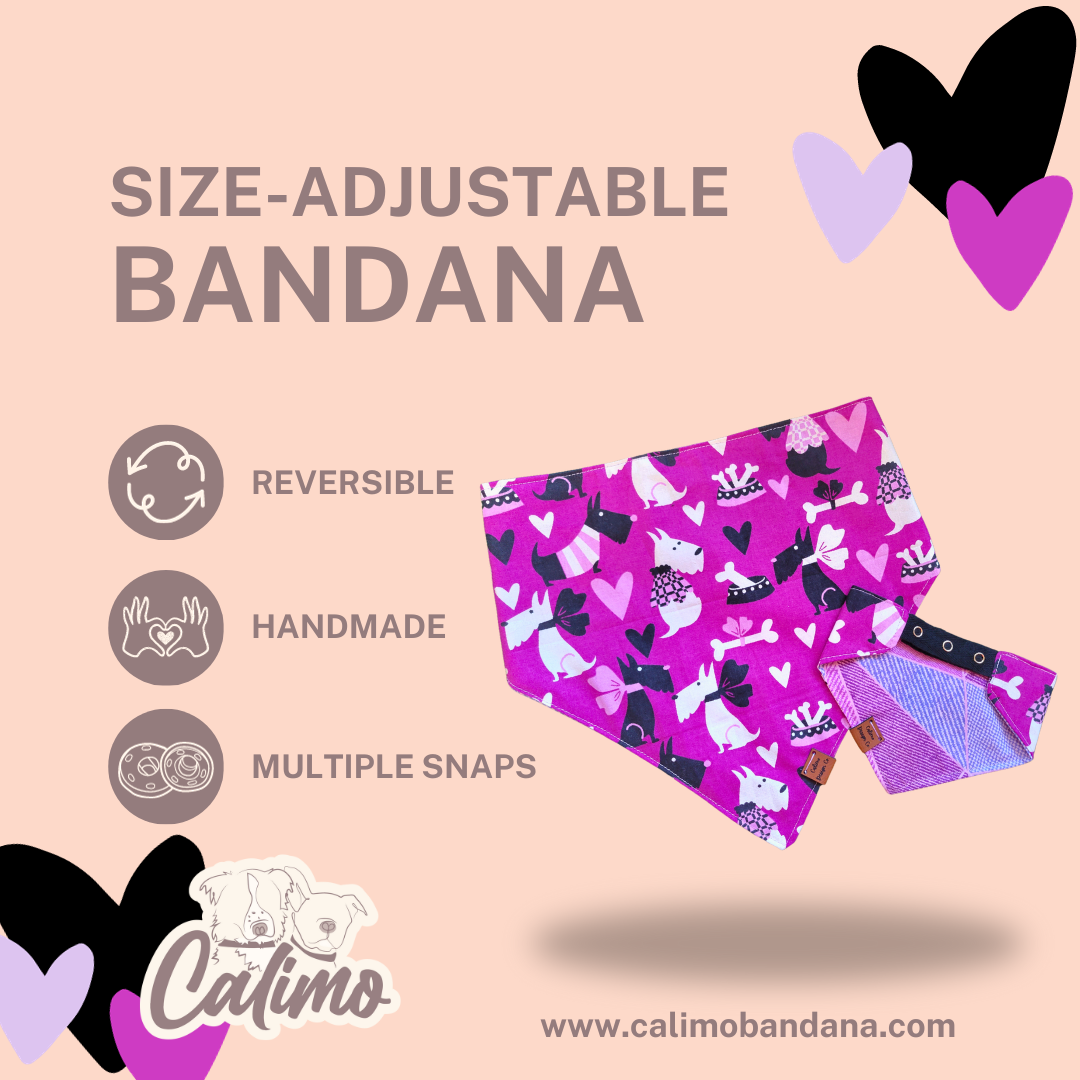 Preppy Purple Snap On Pet Bandana