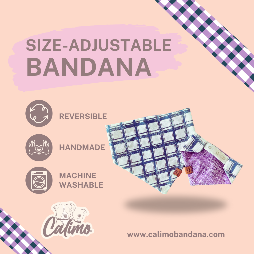Window Pane Snap On Pet Bandana