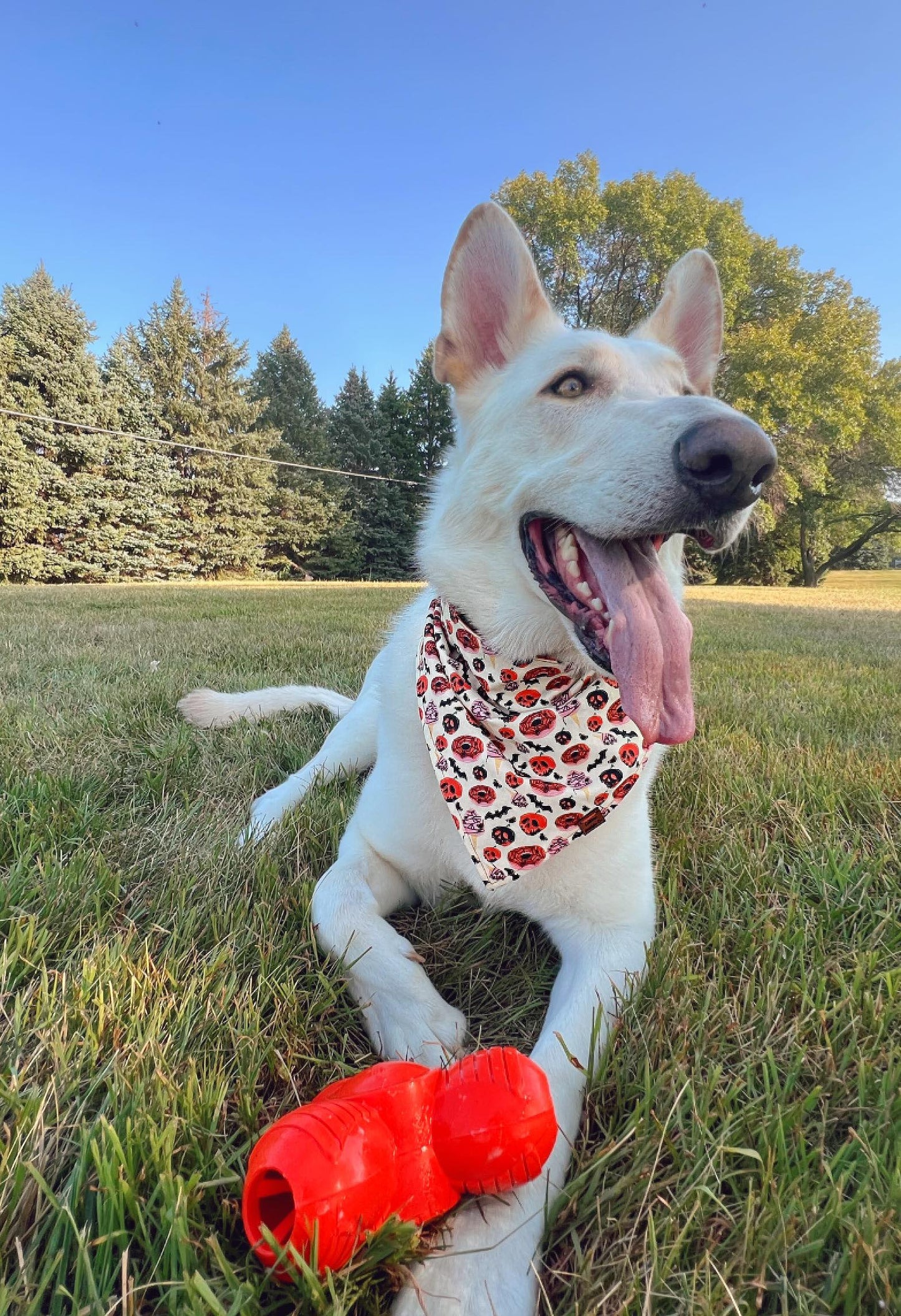 Tricky Treats Snap-On Pet Bandana