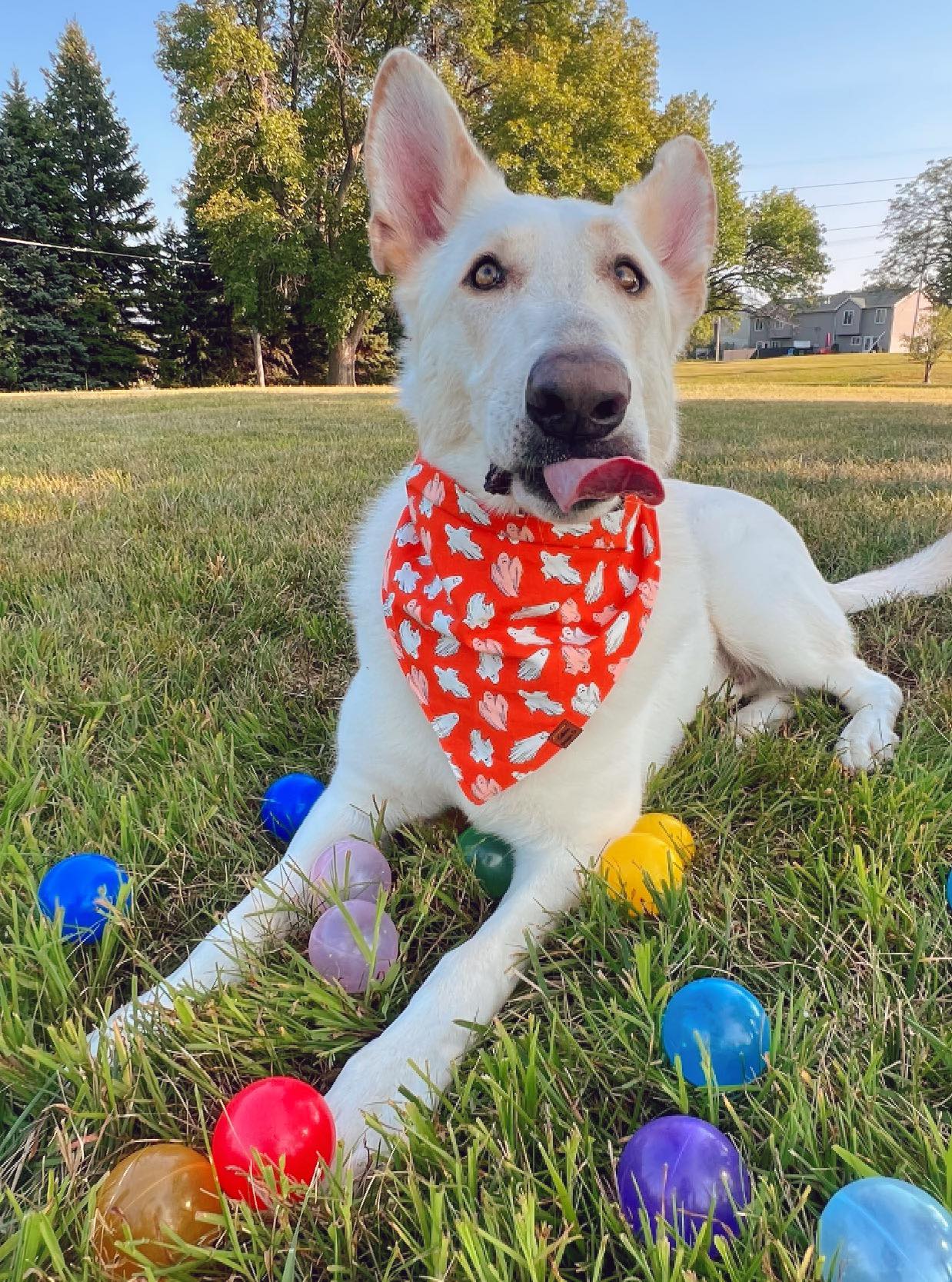 Ghastly Ghosties Snap-On Pet Bandana
