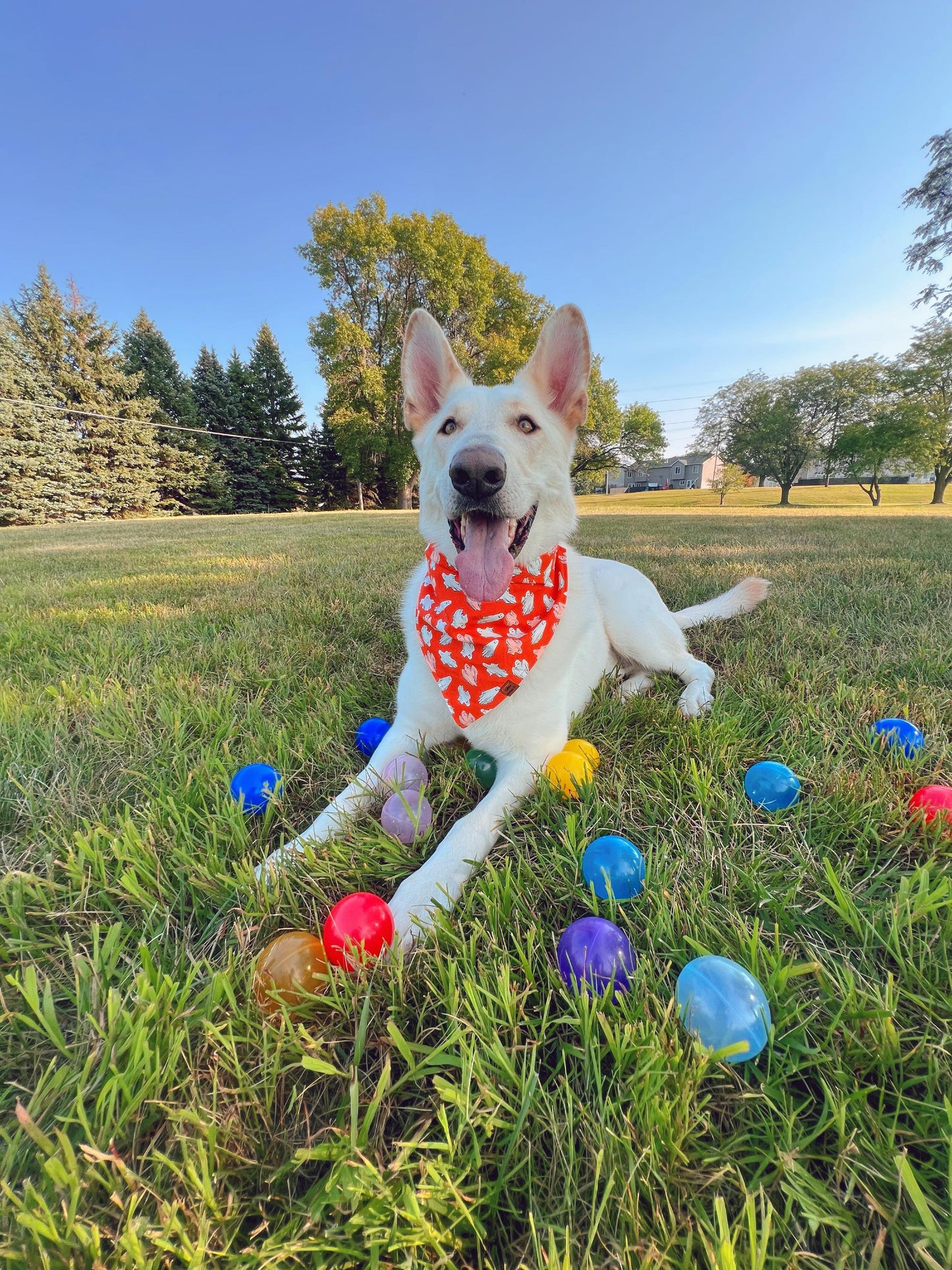 Ghastly Ghosties Snap-On Pet Bandana