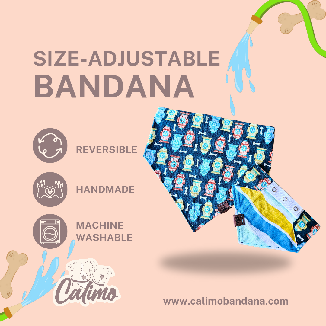 Water Works Snap On Pet Bandana