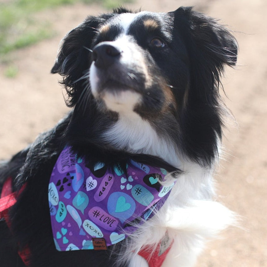 Love Notes Snap On Pet Bandana