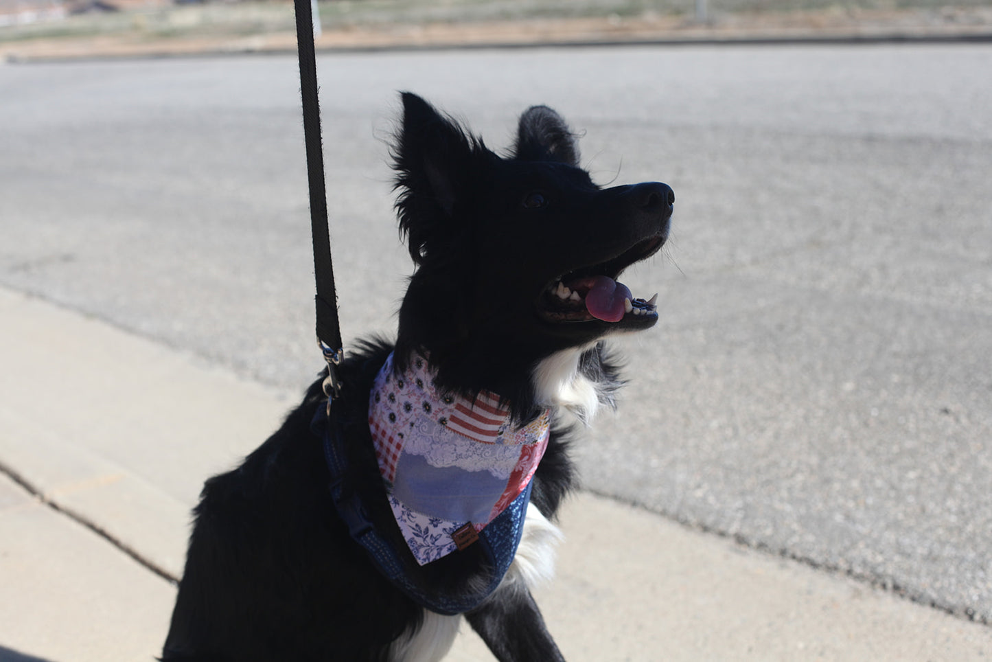 Patchwork Snap On Pet Bandana