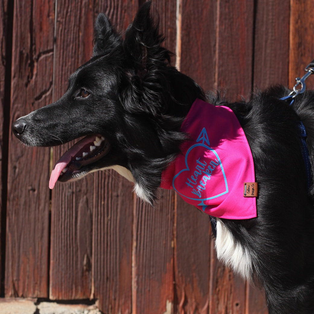 Pink Heart Breaker Snap On Pet Bandana