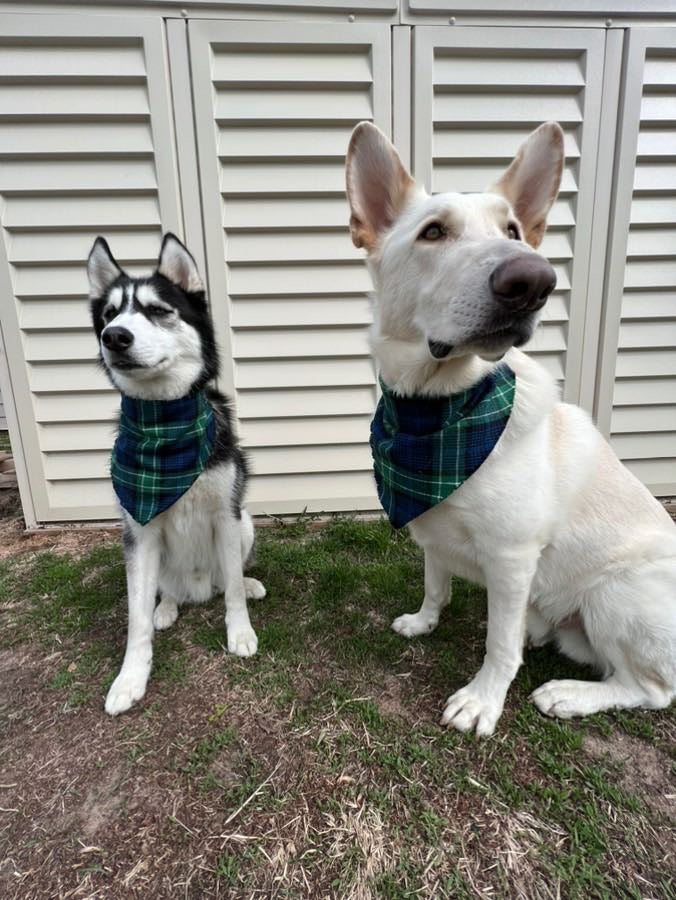 Blue & Green Plaid Fray Snap On Pet Bandana