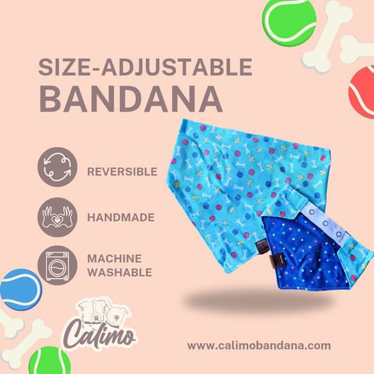 Fetch Frenzy Snap On Pet Bandana