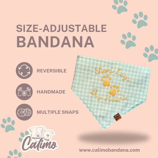 A mint green gingham-patterned snap-on bandana with the text 'Short Legs, Big Heart' and paw prints design, indicating it is pet-friendly and washable.