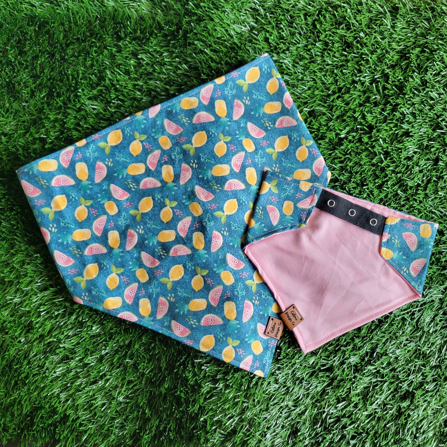 Tropical Fruit Snap On Pet Bandana