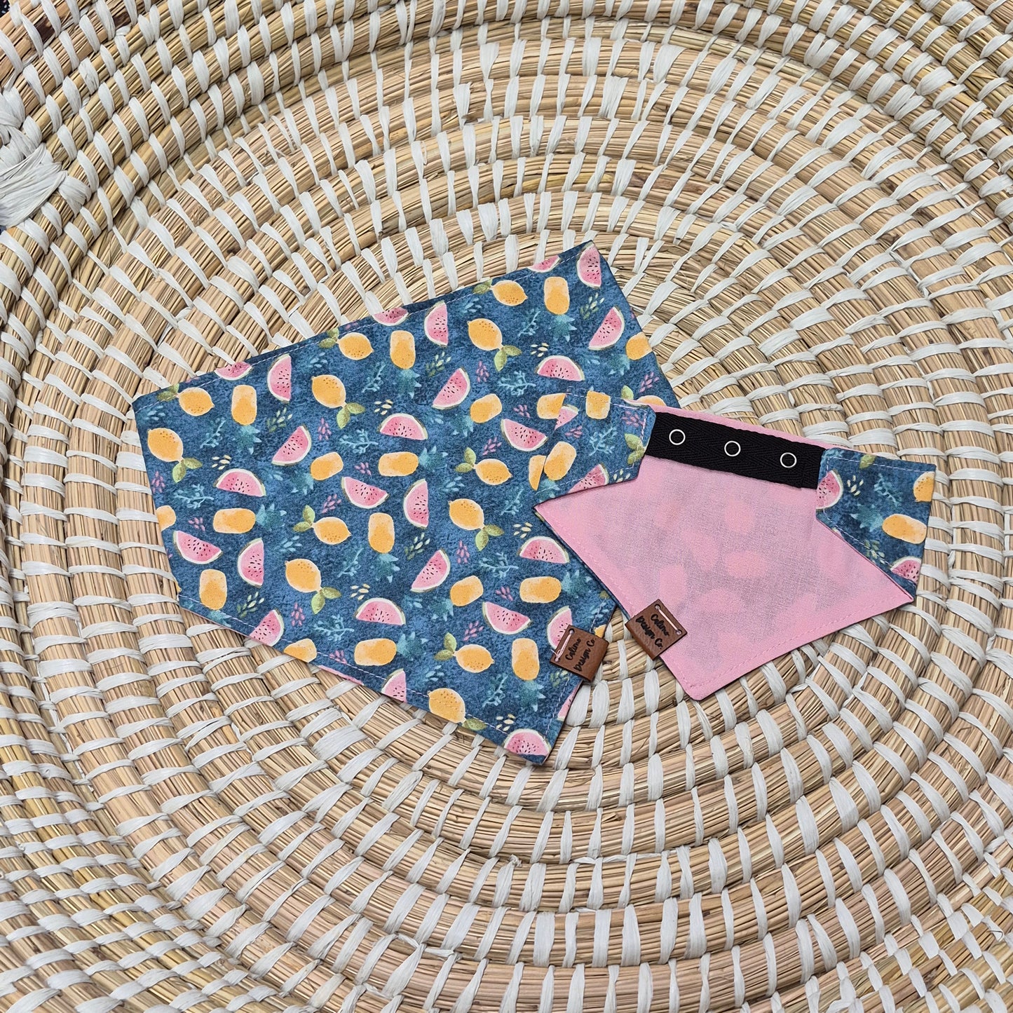 Tropical Fruit Snap On Pet Bandana